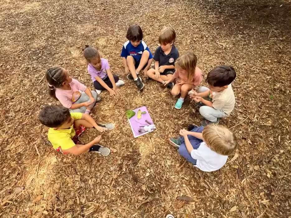 Children seated in circle at forest school