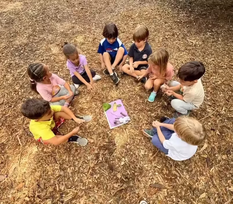 Children seated in circle at forest school