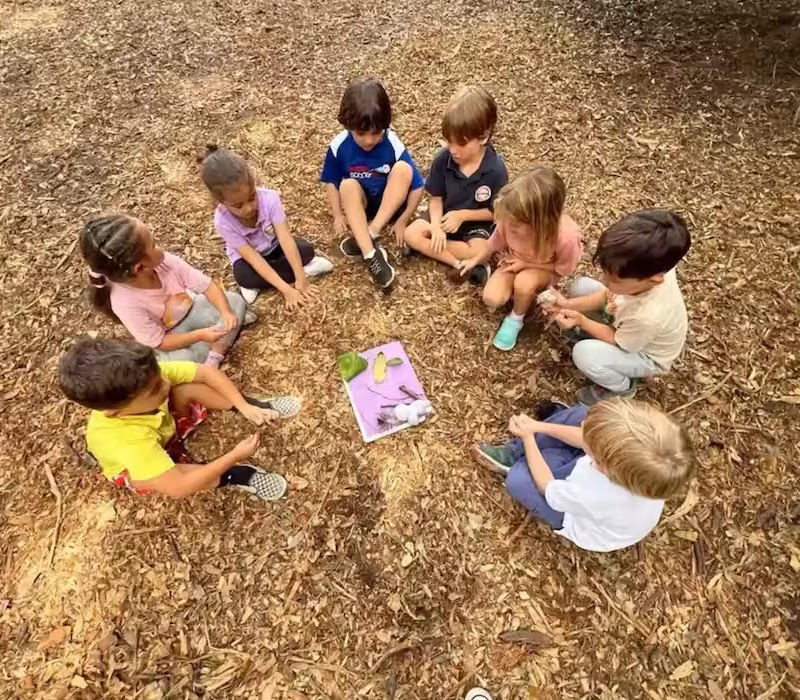 Children seated in circle at forest school