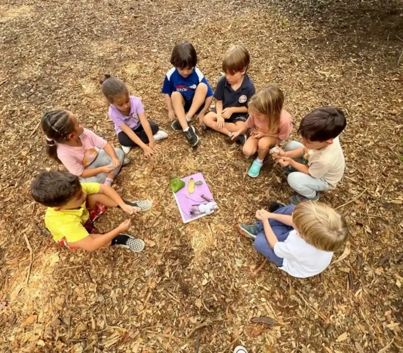 Sol Academy's Programs