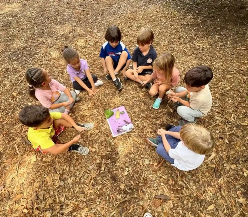 Children seated in circle at forest school